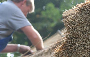 professional Greensplat thatchers